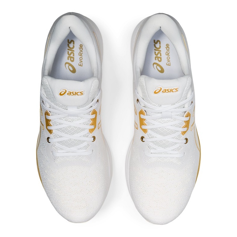 evoride comfort classic lady